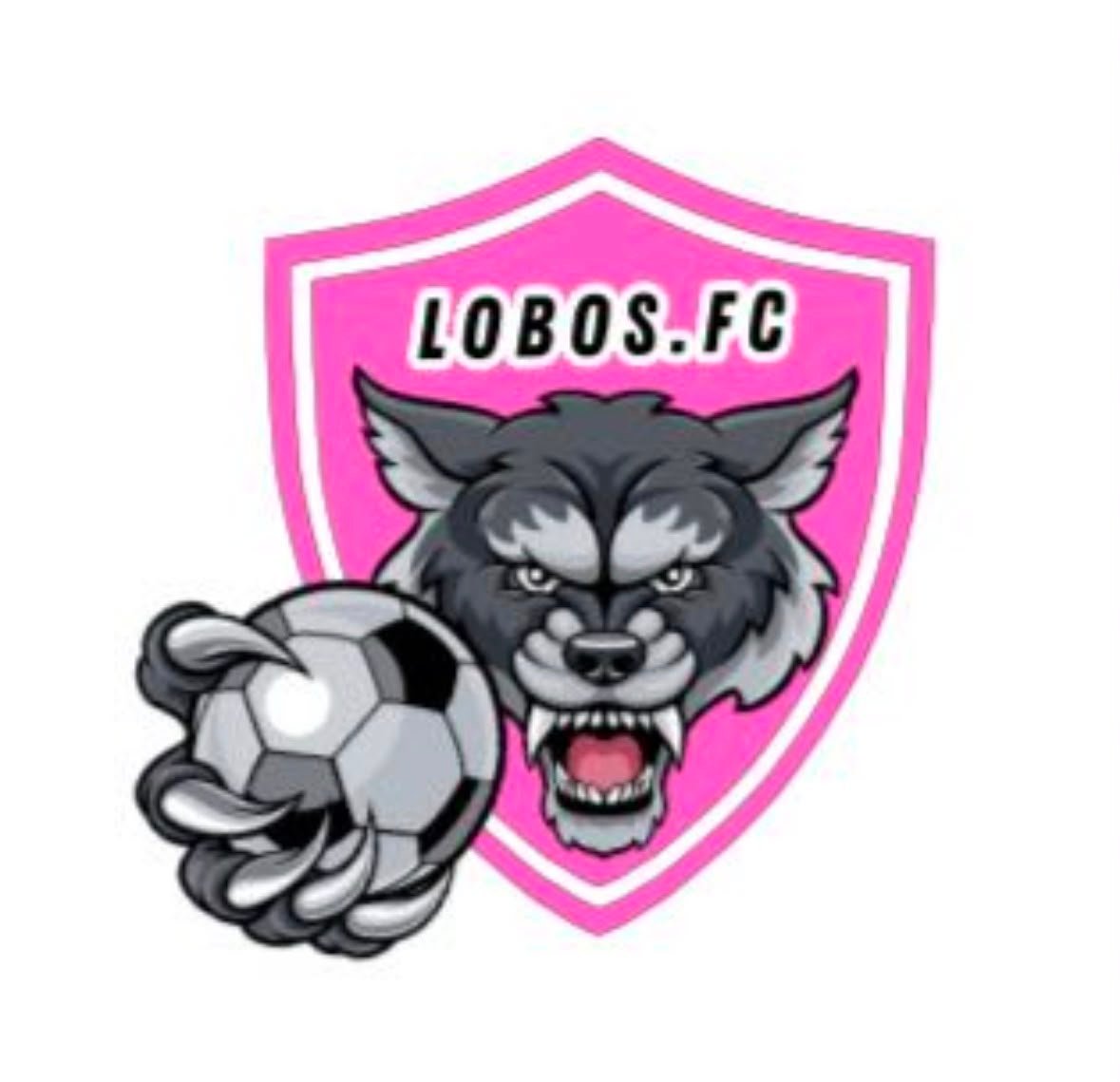 LOBAS FC